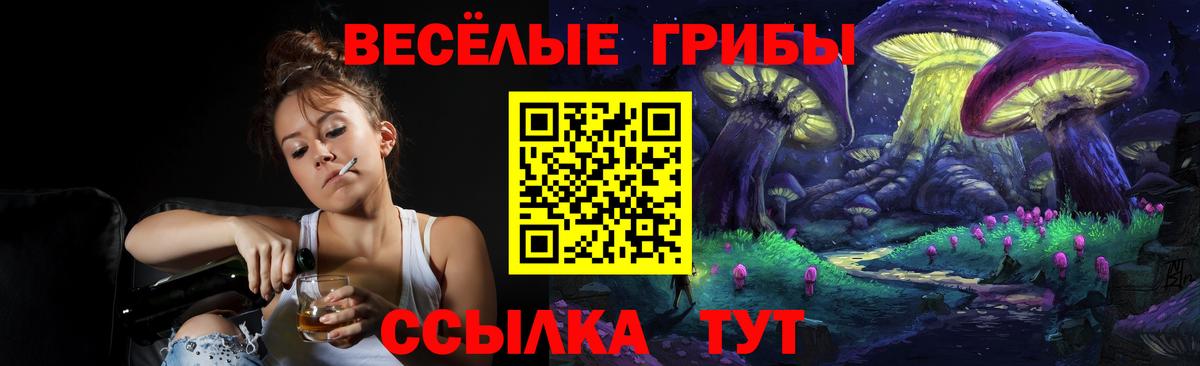 купить   Псилоцибиновые грибы мицелий  Псилоцибиновые грибы GOLDEN TEACHER  Вход с VPN  Когалым 
